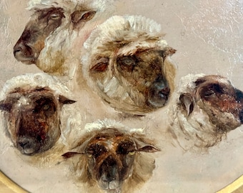 A Study in Sheep, 19th Century Oil Painting on Board