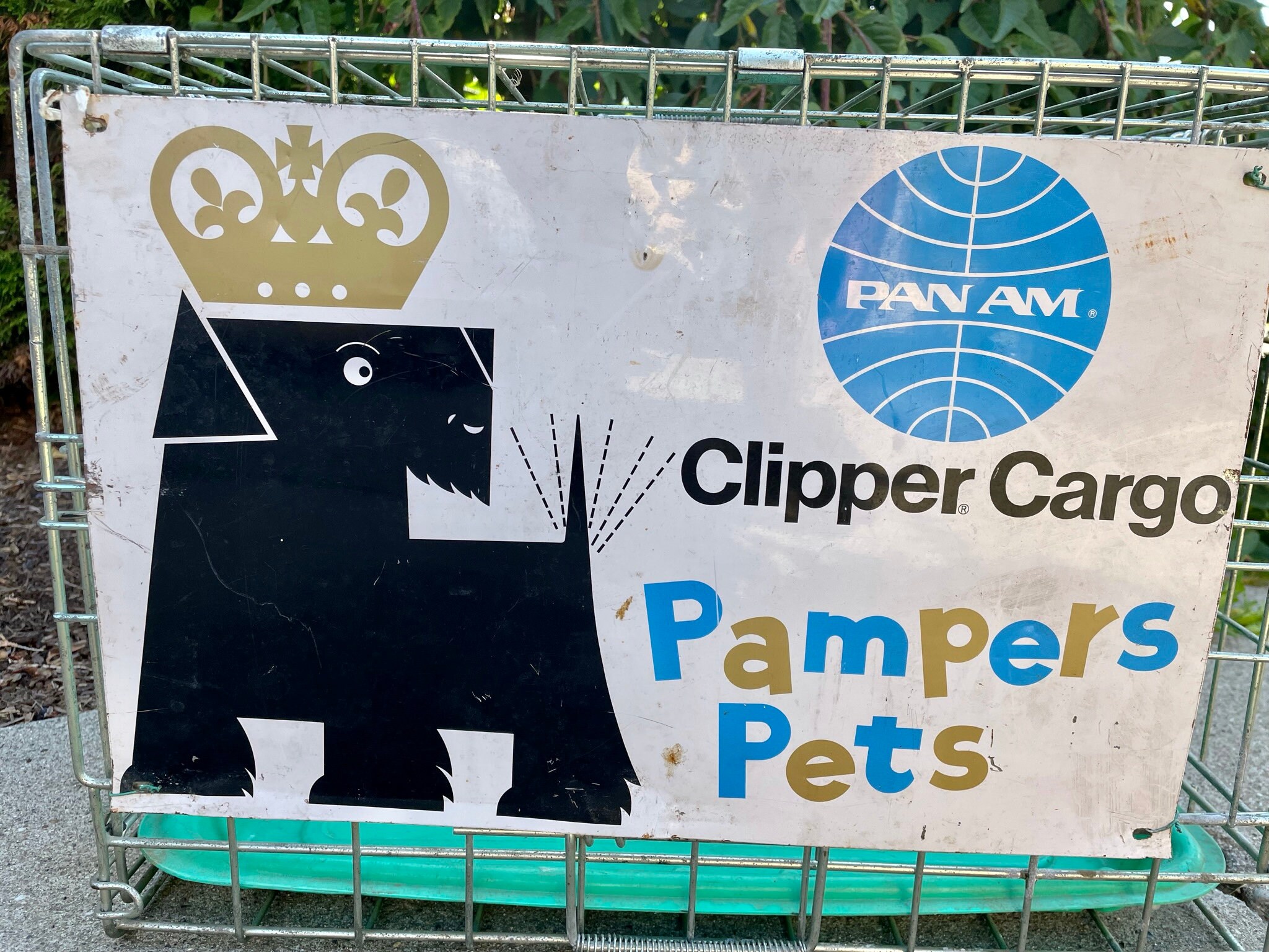 Rare Pan Am Clipper Cargo Pampered Pets Original Sign With Pet Crate 1960s Mid Modern Etsy