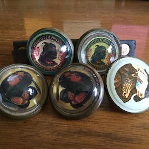 5 Vintage Brass And Glass Horse Bridle Rosettes