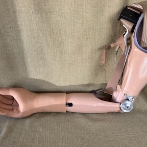 May include: A prosthetic arm with a realistic skin-toned finish, featuring a molded hand, a forearm section, and a shoulder harness assembly. The device includes adjustable beige nylon straps, a black plastic buckle, and a metallic elbow hinge.