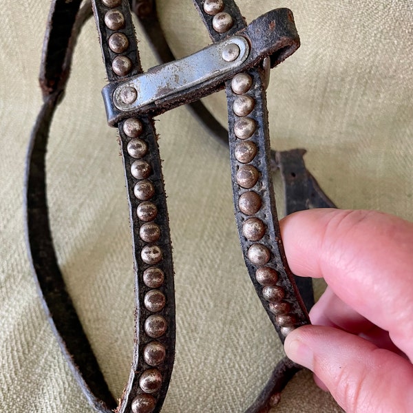 Antique Leather Dog Harness Etsy