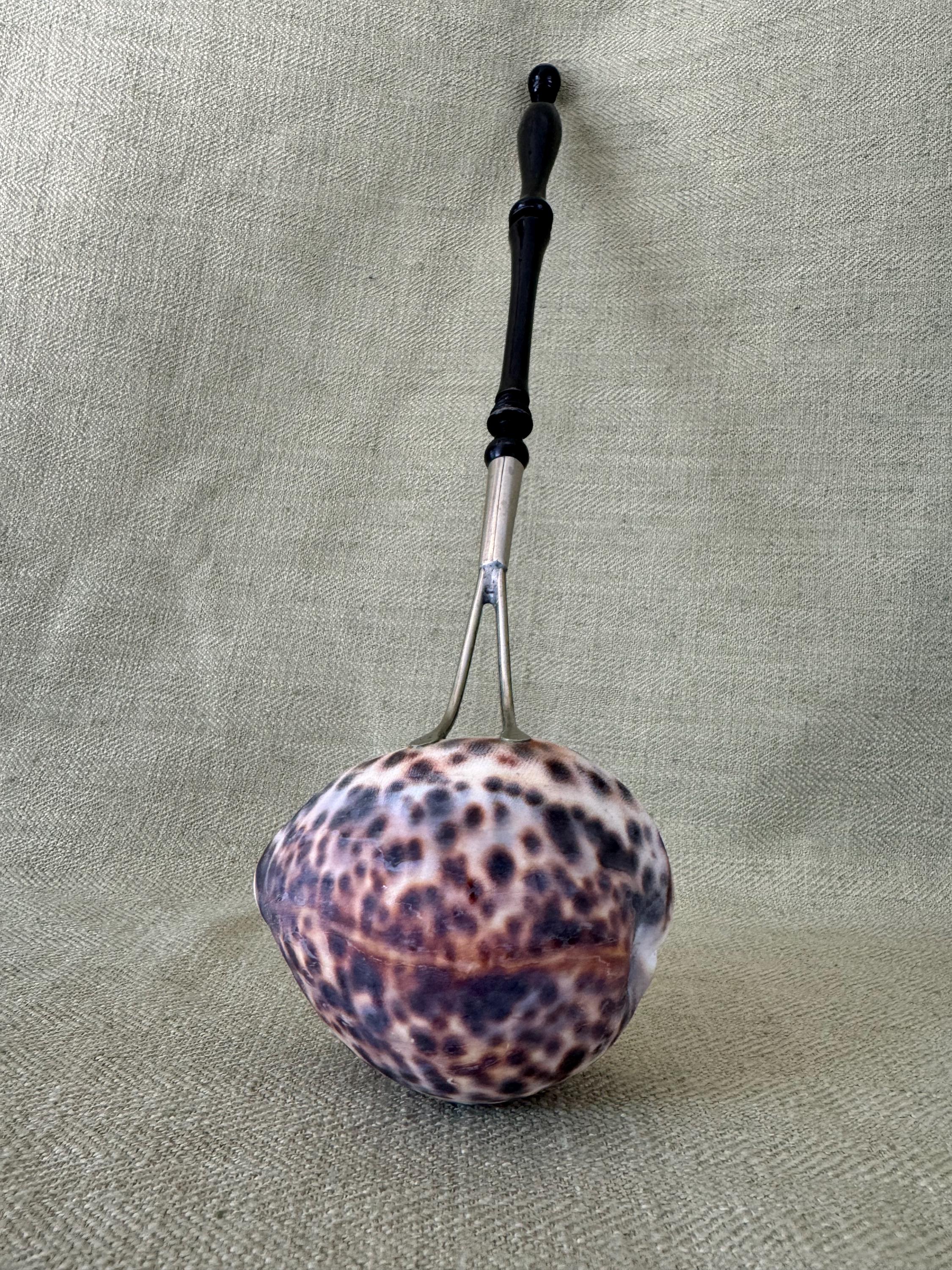 19th Century Cowrie Shell Ladle