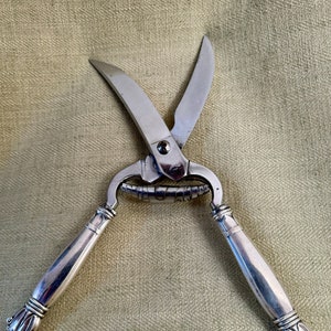 Antique Poultry Shears with Sterling Silver Handles