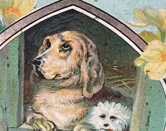 Wonderful Antique Advertising Biscuit Tin featuring Humane Society Dogs