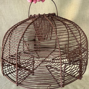 May include: A rusty wire cage with a handle on top. The cage is round and has a wire mesh design. It is likely used for trapping small animals.