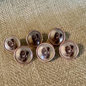 Six 19th Century Enameled Bulldog Buttons - Etsy