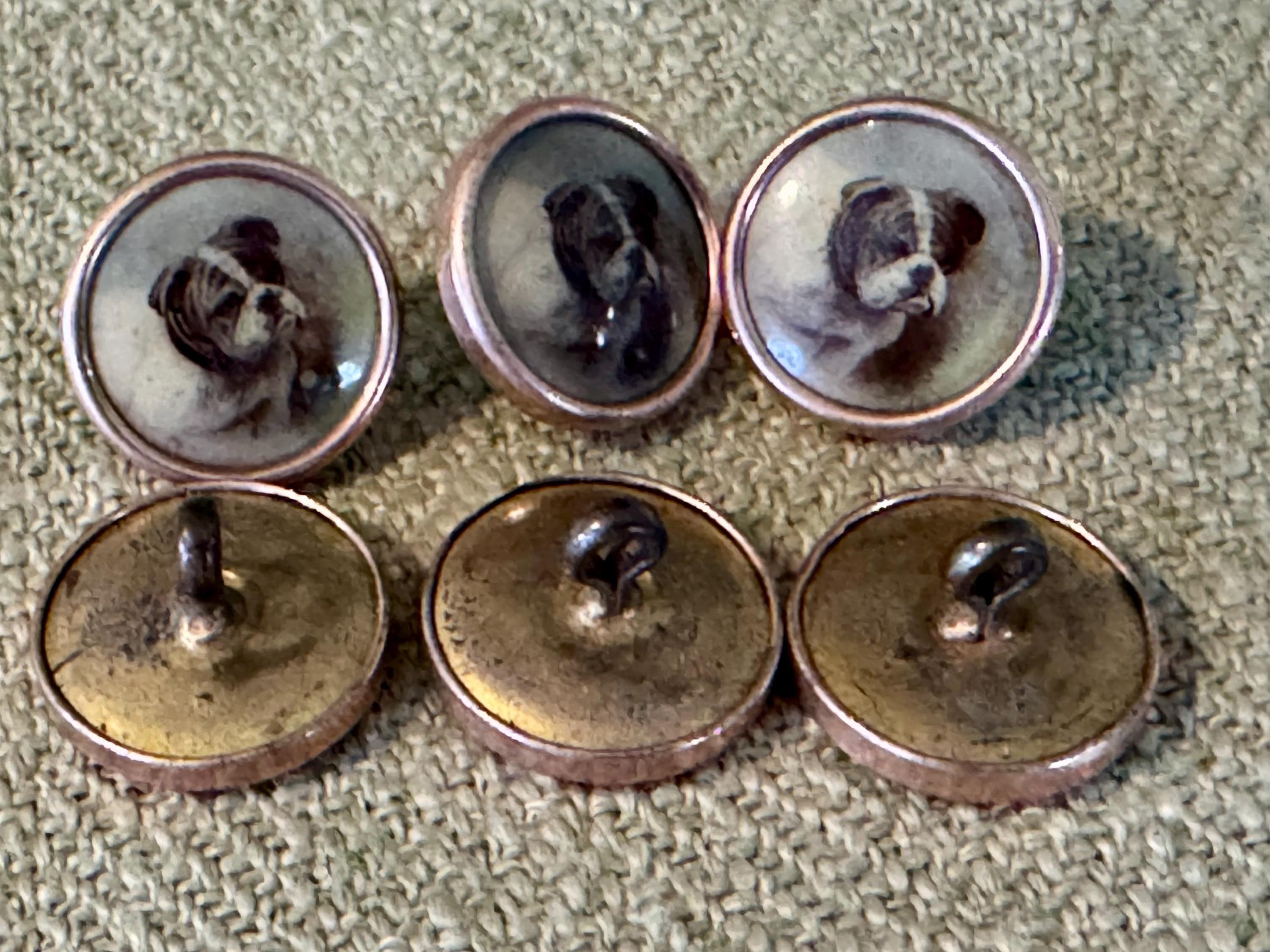 Six 19th Century Enameled Bulldog Buttons - Etsy