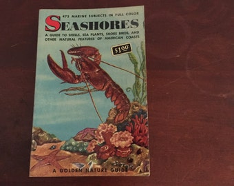 Seashores! Vintage Book - Golden Nature Book by Zim & Ingle. Color Illustrations!