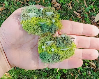 Glow in the Dark Mushroom Pin: Cottagecore Moss Shelf Charms