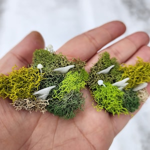 Moos und Pilze Haarspangen, Pilz Haarspange, Cottage Core