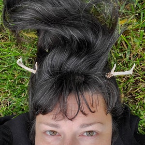 Haarspeldjes gewei, minigewei, cosplaygewei, faungewei