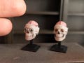 Miniature Skull Model with Brain and Eyes, 1/12 Scale Anatomical Horror Decor, Steampunk Gothic Dollhouse Display, Rare Vintage Skeleton product logo