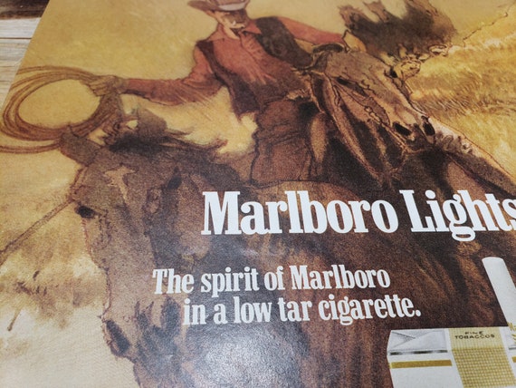 best cleaning solution for cigarette smoke How to Get the Smoke Smell Out of a House