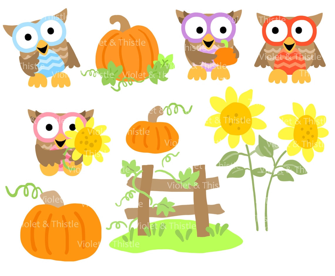 Harvest Owl Clipart Harvest Owl Clip Art Fall Owl Clip Art - Etsy
