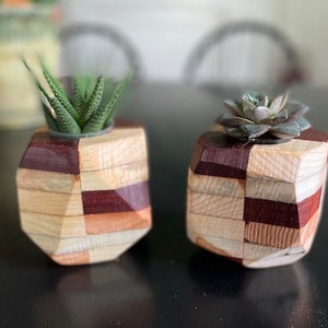 May include: Two small geometric wooden planters with a multi-colored wood grain pattern. One planter holds a green succulent and the other holds a green and purple succulent.