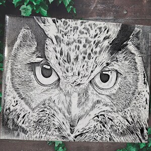 May include: A black and white close-up drawing of an owl's face. The owl's eyes are large and round, and its feathers are detailed.