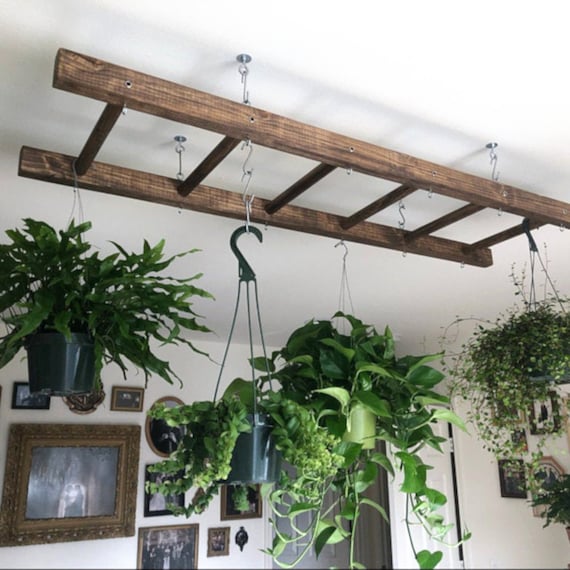 Dark Walnut Ladder Pot Rack: Kitchen Island Plant Hanger - Etsy