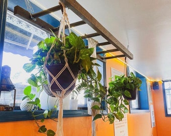Dark Walnut Ladder Pot Rack: Kitchen Island Plant Hanger