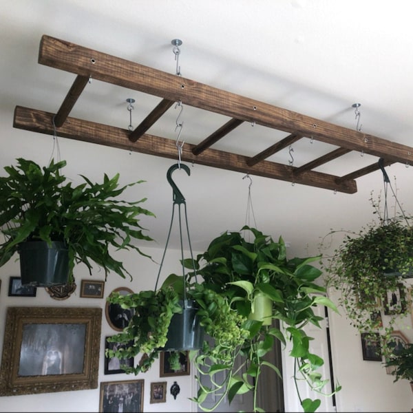 Walnut Stained Ladder Pot Rack: Hanging Plant & Kitchen Storage, Various Lengths EZ Mount.