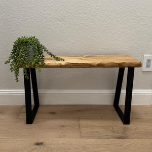 May include: A wooden bench with a natural edge and black metal legs. The bench is made of light-colored wood and has a rectangular shape. A potted plant with green, trailing leaves sits on the bench.