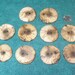 Lot of 10 Large Tree Branch Wood Buttons 2" Made from Spalted Ash, Rustic Wooden Buttons for Crafting, Fiber Arts, Knitting, Crochet