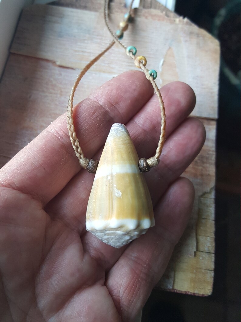 Hawaiian Golden Cone Shell Men Unisex Jewelry Surf Tumbled Etsy