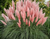 このショップの商品