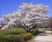 Artículos de esta tienda