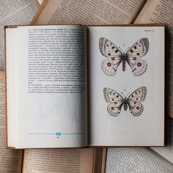 Vintage Illustrated Entomology Book - Moth Butterfly Guide Book, Vintage Butterfly Illustrations, Insect Illustrations