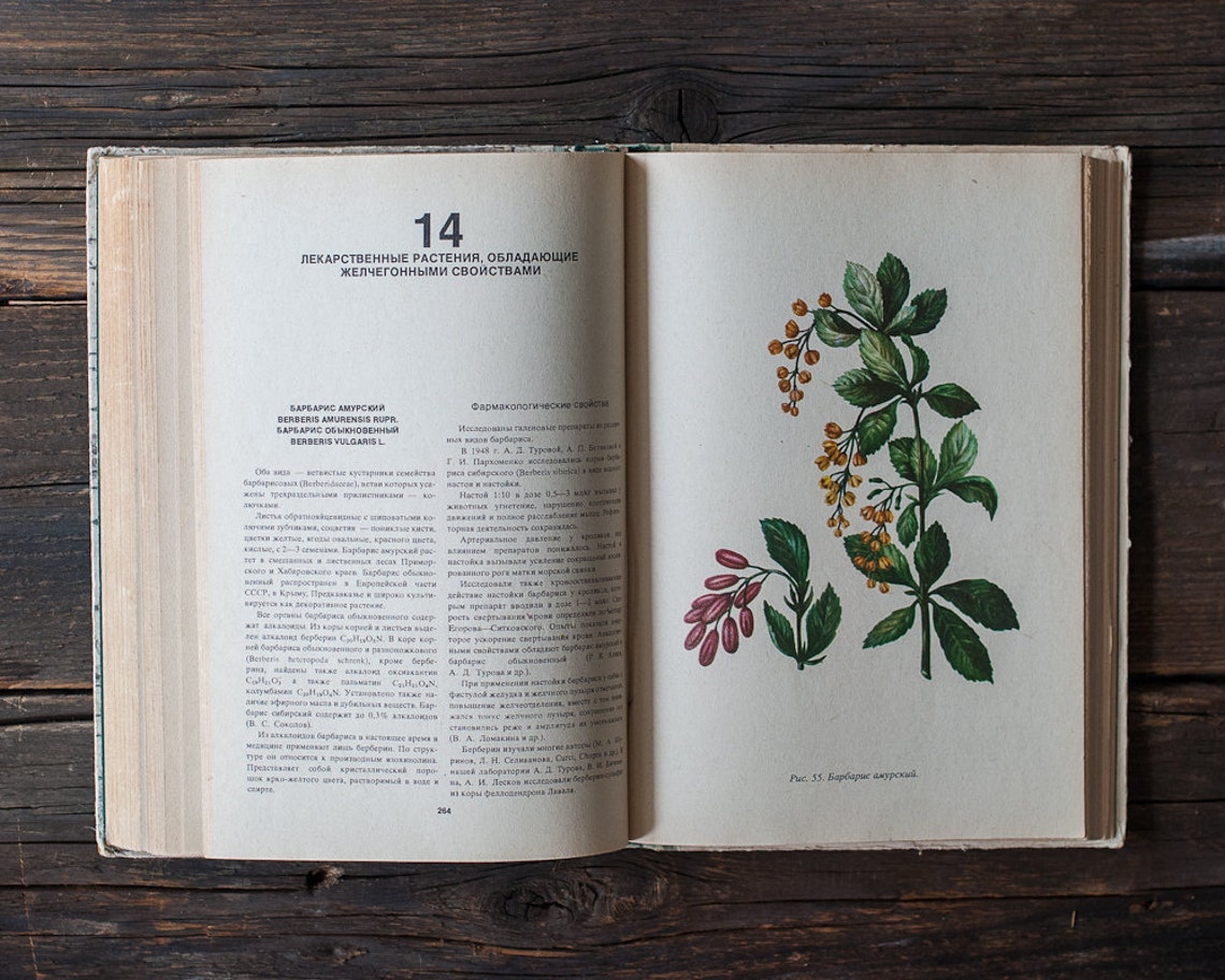 Vintage Illustrated Botanical Book Vintage Plant Etsy