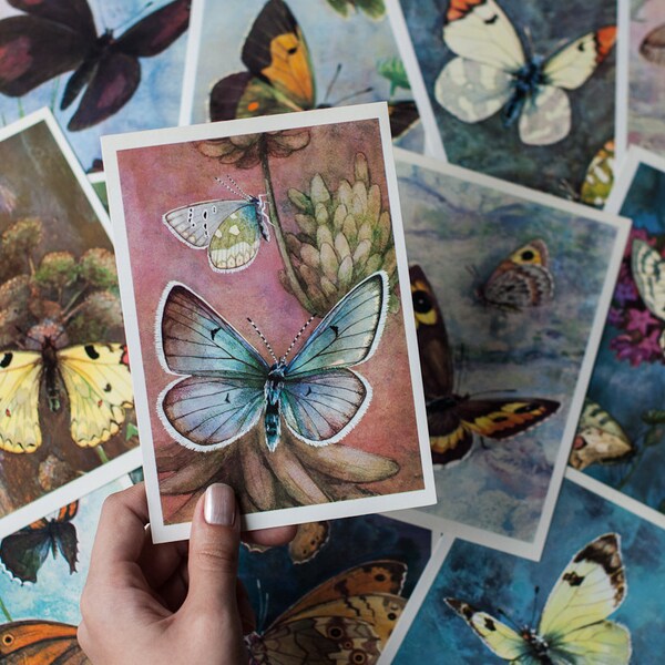 Set of 16 Vintage Butterfly Cards - Butterfly Illustrations, Butterfly Prints