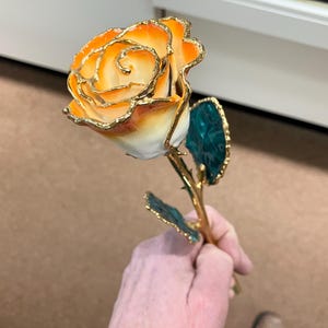 Orange And White 24k Gold Plated Real Rose