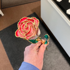 Red Pink And White 24k Gold Plated Real Rose