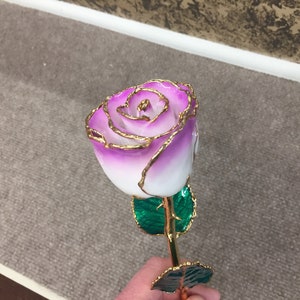 24K Gold Plated And Lacquered Rose