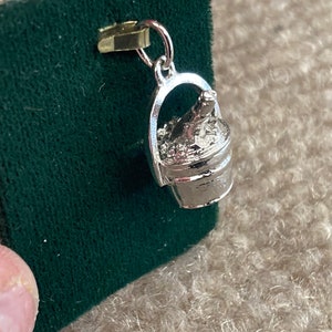 Champagne Silver Charm