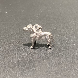 Labrador Retriever Silver Charm
