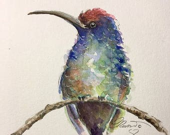 Hummingbird, Fine Art Print, Limited Edition, Hand Enhanced, Watercolor Illustration, Nature Art, Bird, Animals