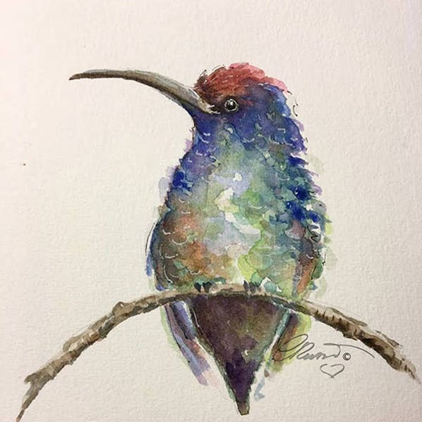 Hummingbird, Fine Art Print, Limited Edition, Hand Enhanced, Watercolor Illustration, Nature Art, Bird, Animals