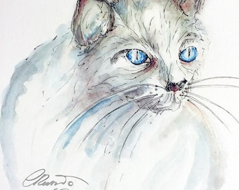 Watercolor white Cat, Blue Eyes cat, Limited Edition Art Print, Watercolor cat painting, white cat painting, Cat illustration