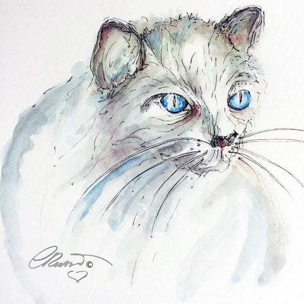 Watercolor white Cat, Blue Eyes cat, Limited Edition Art Print, Watercolor cat painting, white cat painting, Cat illustration