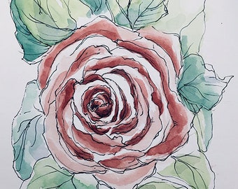 Rose, watercolor, Limited Edition, Print, Ink drawing, Botanical  Illustration, watercolor rose