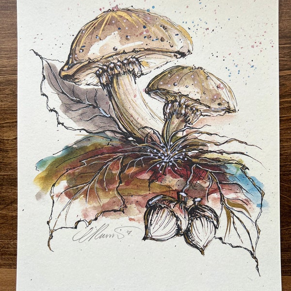 Mushrooms and Acorns, Watercolor, Limited Edition Print, Acorns, Botanical Illustration, Mushrooms drawing, Mushrooms Sketch, Fall, Woodland