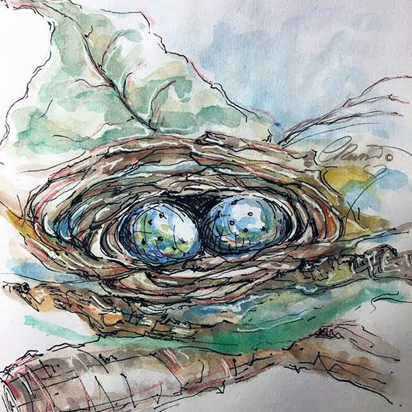 Nest, Birds Nest, Limited Edition Print, Nest with eggs, Watercolor Art, Illustration, Blue Eggs, Nest Sketch, Nature