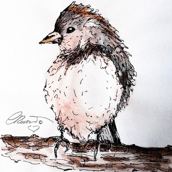 Watercolor Finch Bird, Limited Edition Print, Bird Painting, California Bird, Bird Illustration, hand enhanced print