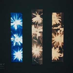Cyanotype Photographs - Bookmarks - Botanical Portrait Fine Art Alternative Photography