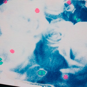 Cyanotype Photograph (5x7 inch) Floral Print: Botanical Fine Art Photography