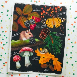 Stampa artistica di Fall Forest Field Guide 8 x 10 pollici - Natura Flora Fauna Cottagecore Botanical Gift