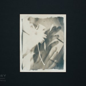 Cyanotype Photograph - 8x10 inch Portrait Photo - Botanical Portrait Fine Art Alternative Photography