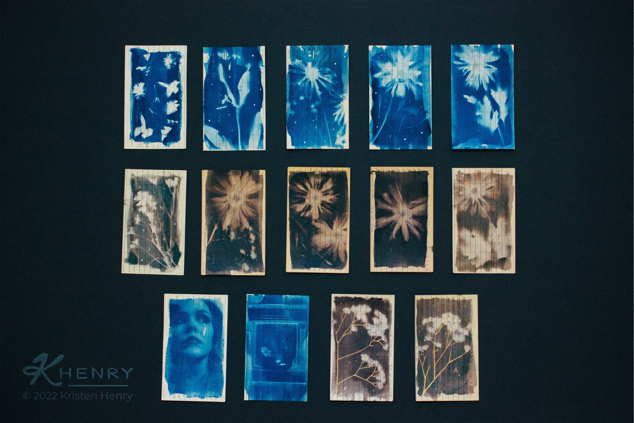 Cyanotype Photographs - 3x5 inch Notecards - Botanical Portrait Fine Art Alternative Photography