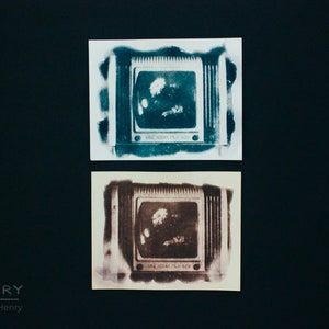 Cyanotype Photograph (4x5 inch) Print: Botanical Fine Art Photography
